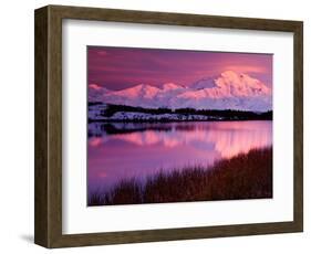 Mt. Denali at Sunset From Reflection Pond in Denali National Park, Alaska, USA-Charles Sleicher-Framed Photographic Print