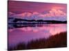 Mt. Denali at Sunset From Reflection Pond in Denali National Park, Alaska, USA-Charles Sleicher-Stretched Canvas