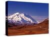 Mt. Denali from Stony Hill in Fall, Mt. McKinley, Alaska, USA-Charles Sleicher-Stretched Canvas