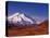 Mt. Denali from Stony Hill in Fall, Mt. McKinley, Alaska, USA-Charles Sleicher-Stretched Canvas