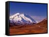 Mt. Denali from Stony Hill in Fall, Mt. McKinley, Alaska, USA-Charles Sleicher-Framed Stretched Canvas