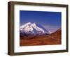 Mt. Denali from Stony Hill in Fall, Mt. McKinley, Alaska, USA-Charles Sleicher-Framed Photographic Print