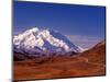 Mt. Denali from Stony Hill in Fall, Mt. McKinley, Alaska, USA-Charles Sleicher-Mounted Photographic Print