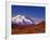 Mt. Denali from Stony Hill in Fall, Mt. McKinley, Alaska, USA-Charles Sleicher-Framed Photographic Print