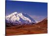 Mt. Denali from Stony Hill in Fall, Mt. McKinley, Alaska, USA-Charles Sleicher-Stretched Canvas