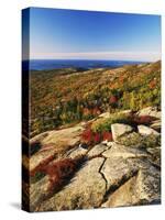 Mt Desert Island, Autumn View, Acadia National Park, Maine, USA-Adam Jones-Stretched Canvas