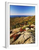 Mt Desert Island, Autumn View, Acadia National Park, Maine, USA-Adam Jones-Framed Premium Photographic Print