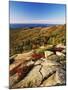 Mt Desert Island, Autumn View, Acadia National Park, Maine, USA-Adam Jones-Mounted Premium Photographic Print