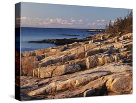 Mt Desert Island, View of Rocks with Forest, Acadia National Park, Maine, USA-Adam Jones-Stretched Canvas