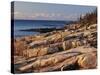 Mt Desert Island, View of Rocks with Forest, Acadia National Park, Maine, USA-Adam Jones-Stretched Canvas