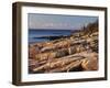 Mt Desert Island, View of Rocks with Forest, Acadia National Park, Maine, USA-Adam Jones-Framed Photographic Print