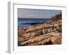Mt Desert Island, View of Rocks with Forest, Acadia National Park, Maine, USA-Adam Jones-Framed Photographic Print