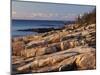 Mt Desert Island, View of Rocks with Forest, Acadia National Park, Maine, USA-Adam Jones-Mounted Photographic Print