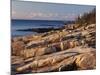 Mt Desert Island, View of Rocks with Forest, Acadia National Park, Maine, USA-Adam Jones-Mounted Photographic Print