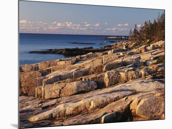 Mt Desert Island, View of Rocks with Forest, Acadia National Park, Maine, USA-Adam Jones-Mounted Photographic Print
