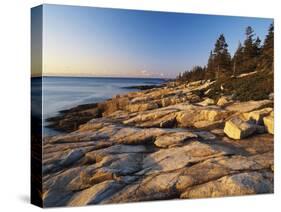 Mt Desert Island, View of Rocks with Forest, Acadia National Park, Maine, USA-Adam Jones-Stretched Canvas