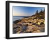 Mt Desert Island, View of Rocks with Forest, Acadia National Park, Maine, USA-Adam Jones-Framed Photographic Print