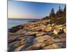 Mt Desert Island, View of Rocks with Forest, Acadia National Park, Maine, USA-Adam Jones-Mounted Photographic Print