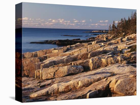 Mt Desert Island, View of Rocks with Forest, Acadia National Park, Maine, USA-Adam Jones-Stretched Canvas