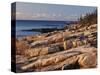 Mt Desert Island, View of Rocks with Forest, Acadia National Park, Maine, USA-Adam Jones-Stretched Canvas