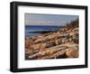 Mt Desert Island, View of Rocks with Forest, Acadia National Park, Maine, USA-Adam Jones-Framed Photographic Print