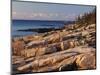 Mt Desert Island, View of Rocks with Forest, Acadia National Park, Maine, USA-Adam Jones-Mounted Photographic Print