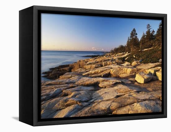 Mt Desert Island, View of Rocks with Forest, Acadia National Park, Maine, USA-Adam Jones-Framed Stretched Canvas