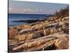 Mt Desert Island, View of Rocks with Forest, Acadia National Park, Maine, USA-Adam Jones-Stretched Canvas