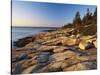 Mt Desert Island, View of Rocks with Forest, Acadia National Park, Maine, USA-Adam Jones-Stretched Canvas