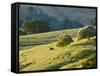 Mt. Diablo State Park, California, Usa-Paul Colangelo-Framed Stretched Canvas