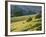 Mt. Diablo State Park, California, Usa-Paul Colangelo-Framed Photographic Print