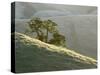 Mt. Diablo State Park, California, Usa-Paul Colangelo-Stretched Canvas