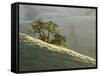 Mt. Diablo State Park, California, Usa-Paul Colangelo-Framed Stretched Canvas