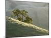 Mt. Diablo State Park, California, Usa-Paul Colangelo-Mounted Photographic Print