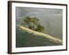 Mt. Diablo State Park, California, Usa-Paul Colangelo-Framed Photographic Print