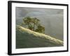 Mt. Diablo State Park, California, Usa-Paul Colangelo-Framed Photographic Print