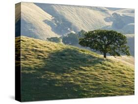 Mt. Diablo State Park, California, Usa-Paul Colangelo-Stretched Canvas