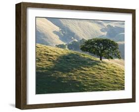 Mt. Diablo State Park, California, Usa-Paul Colangelo-Framed Photographic Print