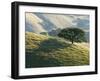 Mt. Diablo State Park, California, Usa-Paul Colangelo-Framed Photographic Print