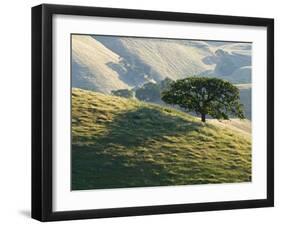 Mt. Diablo State Park, California, Usa-Paul Colangelo-Framed Photographic Print