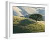 Mt. Diablo State Park, California, Usa-Paul Colangelo-Framed Photographic Print