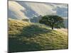 Mt. Diablo State Park, California, Usa-Paul Colangelo-Mounted Photographic Print