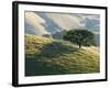 Mt. Diablo State Park, California, Usa-Paul Colangelo-Framed Photographic Print