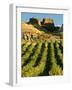 Mt Difficulty Vineyard and Historic Sluicings, Bannockburn, South Island, New Zealand-David Wall-Framed Photographic Print