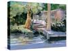Mt. Dora Canal House-Jane Slivka-Stretched Canvas