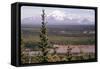 Mt Drum-null-Framed Stretched Canvas