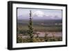 Mt Drum-null-Framed Photographic Print