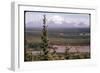 Mt Drum-null-Framed Photographic Print