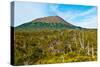 Mt. Edgecumbe, Kruzof Island, Southeast Alaska-Mark A Johnson-Stretched Canvas