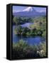 Mt. Egmont, North Island, New Zealand-Doug Pearson-Framed Stretched Canvas